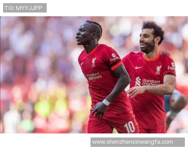 火燎金刚足球明星的传奇之路与辉煌成就揭秘