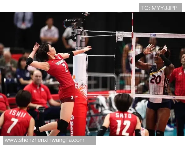 塞尔维亚对阵巴西亚洲盘口分析及投注建议详解